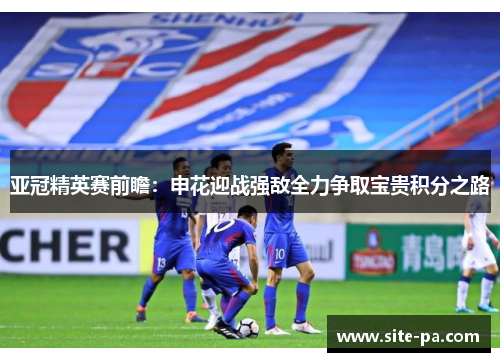 亚冠精英赛前瞻:申花迎战强敌全力争取宝贵积分之路 亚冠精英赛前瞻:申花迎战强敌全力争取宝贵积分之路