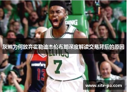 灰熊为何放弃霍勒迪杰伦布朗深度解读交易背后的原因 灰熊为何放弃霍勒迪杰伦布朗深度解读交易背后的原因