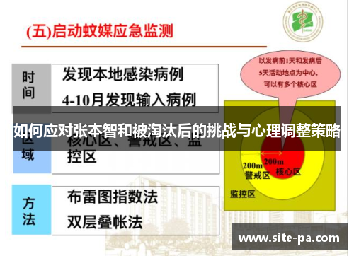 如何应对张本智和被淘汰后的挑战与心理调整策略 如何应对张本智和被淘汰后的挑战与心理调整策略