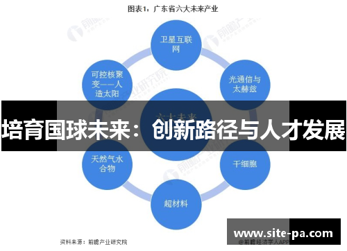 培育国球未来：创新路径与人才发展