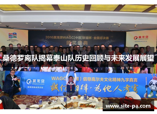 桑德罗离队揭幕泰山队历史回顾与未来发展展望 桑德罗离队揭幕泰山队历史回顾与未来发展展望