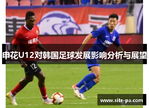 申花U12对韩国足球发展影响分析与展望