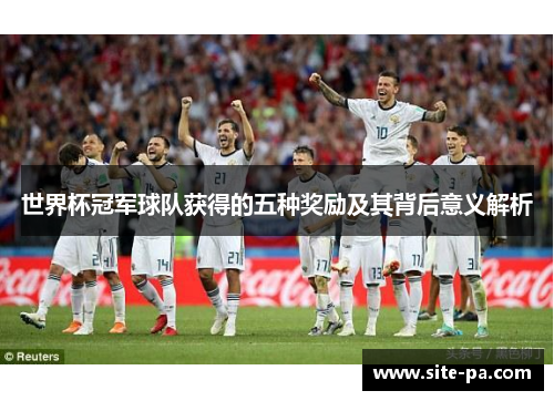 世界杯冠军球队获得的五种奖励及其背后意义解析