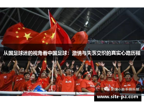 从国足球迷的视角看中国足球：激情与失落交织的真实心路历程