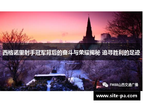 西格诺里射手冠军背后的奋斗与荣耀揭秘 追寻胜利的足迹