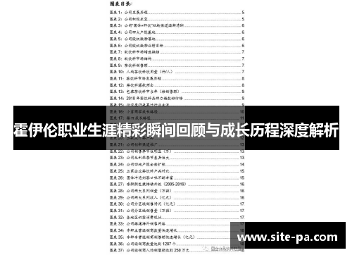 霍伊伦职业生涯精彩瞬间回顾与成长历程深度解析 霍伊伦职业生涯精彩瞬间回顾与成长历程深度解析
