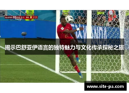 揭示巴舒亚伊语言的独特魅力与文化传承探秘之旅