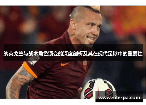 纳英戈兰与战术角色演变的深度剖析及其在现代足球中的重要性