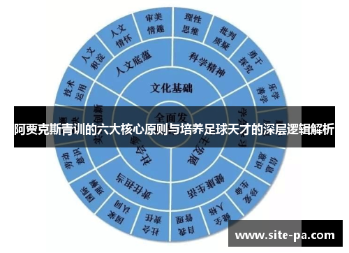 阿贾克斯青训的六大核心原则与培养足球天才的深层逻辑解析