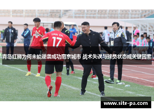 青岛红狮为何未能逆袭成功南京城市 战术失误与球员状态成关键因素 青岛红狮为何未能逆袭成功南京城市 战术失误与球员状态成关键因素