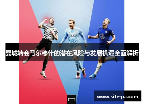 曼城转会马尔穆什的潜在风险与发展机遇全面解析
