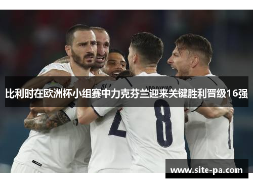 比利时在欧洲杯小组赛中力克芬兰迎来关键胜利晋级16强