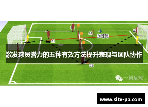 激发球员潜力的五种有效方法提升表现与团队协作