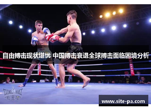 自由搏击现状堪忧 中国搏击衰退全球搏击面临困境分析