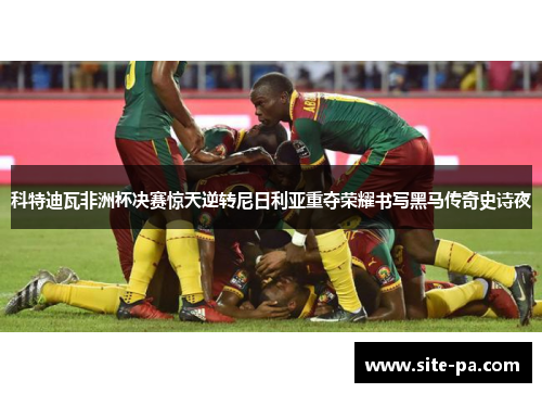 科特迪瓦非洲杯决赛惊天逆转尼日利亚重夺荣耀书写黑马传奇史诗夜